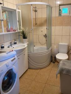 ein Badezimmer mit einer Waschmaschine neben einer Dusche in der Unterkunft Chata Filip in Osečná