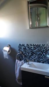 A bathroom at laroulottedubec