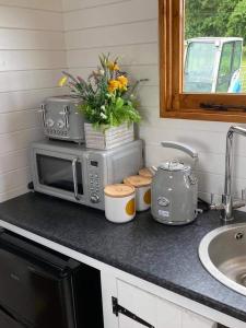 una encimera de cocina con microondas y flores. en Green Bridge Inn, en Pendine