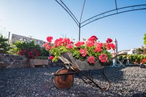 Zahrada ubytování Casa Jacinta con jacuzzi