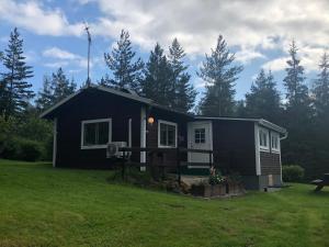 a small black house in a yard with trees at Paradiset stugan i fin skogen in Hällefors