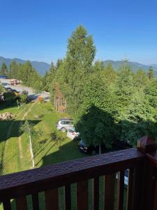 a balcony with a view of a yard with a car at Vila Zenyt in Piatra Fantanele
