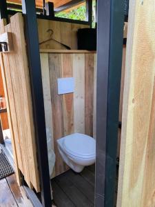 een badkamer met een toilet in een huis bij Le Moonloft insolite Tiny-House dans les arbres & 1 séance de sauna pour 2 avec vue panoramique in Osenbach