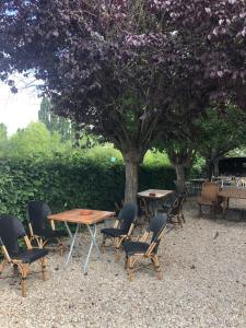 Eine Gruppe von Tischen und Stühlen unter einem Baum in der Unterkunft Paris en train Area Studios avec salles de bain et kitchenettes privées ou chambres avec salles de bain et cuisines communes in Persan