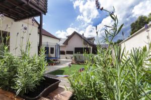 A garden outside LEVIAL Rooms