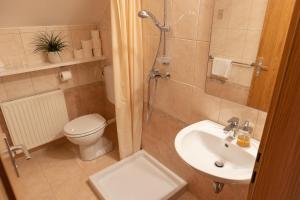 W łazience znajduje się toaleta, umywalka i prysznic. w obiekcie Hiša na Vrtu w mieście Šenčur