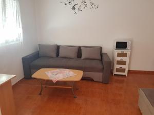 a living room with a couch and a table at Apartments Nada in Vir