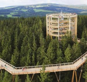 a bridge in the middle of a forest with people on it at Apartmán JaFi Lipno nad Vltavou in Lipno nad Vltavou