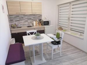 Kuchyň nebo kuchyňský kout v ubytování Apartman Lidija