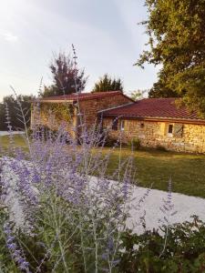 a garden with purple flowers in front of a stone building at Ô Rêve de Gabriel in Saint-Amand-de-Coly