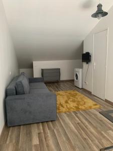 een woonkamer met een grijze bank en een tapijt bij Jolie appartement centre ville in Pégomas