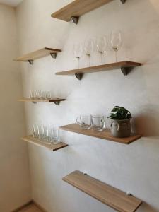 a wall with shelves with glasses and a potted plant at trendy in Ventspils