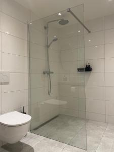 a bathroom with a glass shower with a toilet at N9 Texel in De Koog