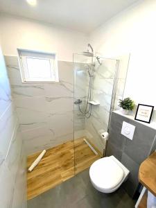 un bagno con wc e doccia in vetro di Apartments Žile a Sućuraj (San Giorgio)