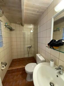 łazienka z toaletą i umywalką w obiekcie Patra's home w mieście Andros