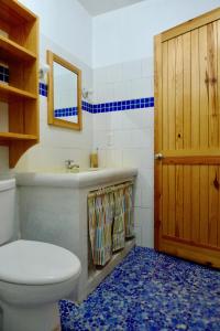 a bathroom with a toilet and a sink and a mirror at Apart-Hotel Garden Villa in Las Galeras