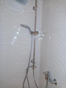 第戎的住宿－Le petit Saint Bernard，浴室内带软管的淋浴