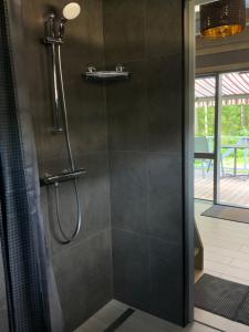 a bathroom with a shower with a glass door at Putnu pirts in Saulkrasti