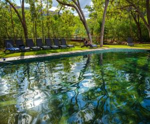 a swimming pool with chairs and a person sitting next to it at Emma Gorge Resort at El Questro in Kununurra