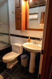 a bathroom with a toilet and a sink at La Casa de Mamá Coyita in Cartago