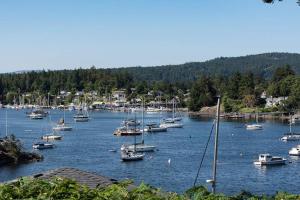 a bunch of boats are docked in a harbor at Sea-esta Suite with Ocean Views in Brentwood Bay in Brentwood Bay