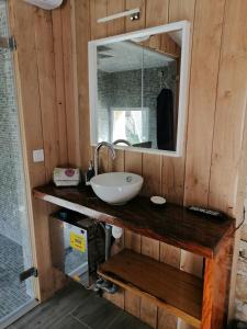 a bathroom with a sink and a mirror at La salamandre in Vic-le-Comte