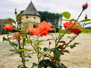 a group of flowers in front of a building at Chambres dhotes a la ferme in Forest-Montiers