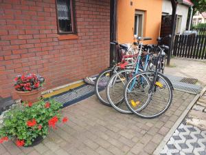 Jazda na bicykli v okolí ubytovania UDany Wypoczynek