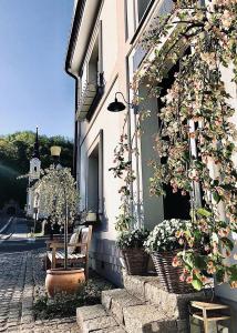 Zahrada ubytování Ráj na zemi venkovský hotel a kavárna