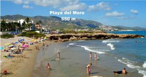Príroda v okolí vily