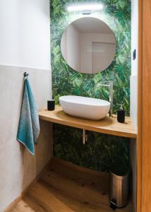 een badkamer met een wastafel en een spiegel bij Garden 13 in Tolmin