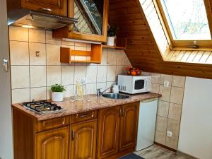 Kuchyňa alebo kuchynka v ubytovaní Apartamenty i Pokoje u Doroty