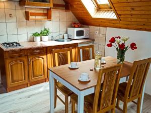 Kuchyňa alebo kuchynka v ubytovaní Apartamenty i Pokoje u Doroty