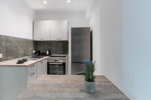 Kuchyňa alebo kuchynka v ubytovaní POUNEDES LUXURY SUITES