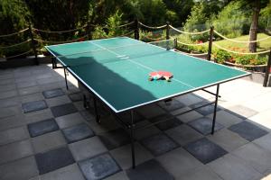 un tavolo da ping pong con una tartaruga giocattolo sopra di Rudera u Sióstr DREWNIANY DOMEK Stróża a Stróża