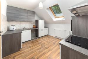 Kuchyň nebo kuchyňský kout v ubytování Apartmaji Trstenjak