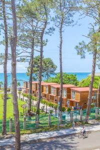 Příroda nedaleko hotelu