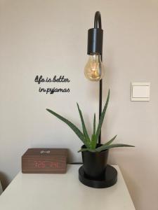 Foto sihtkohas Wevelgem asuva majutusasutuse B&B Col del vino galeriist