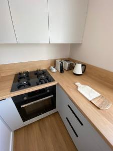 Kuchyňa alebo kuchynka v ubytovaní Apartament Narcyzowa + 6 fotografií