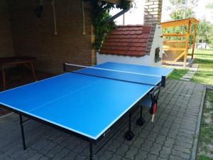 una mesa de ping pong azul en un patio en Szentgyörgyvölgy Vendégház Őrség en Szentgyörgyvölgy