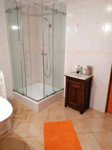 La salle de bains est pourvue d'une douche en verre et d'un lavabo. dans l'établissement Csónakos Vendégház, à Tiszafüred