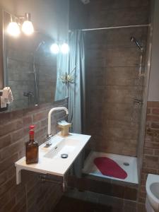 a bathroom with a sink and a shower with a mirror at B&B La Corte Dei Samidagi in Alessandria