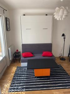 - un salon avec un canapé et des oreillers rouges sur un tapis dans l'établissement Grand studio de 38m2 et cour indépendante de 25m2 dont wifi et Netflix, à Montpellier