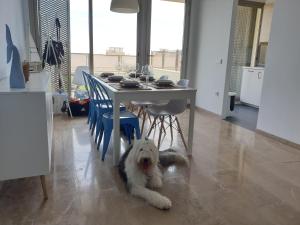 a white dog laying under a table in a kitchen at Amplio Adosado 160 m, jardín privado barbacoa, vistas al mar, wifi 7 px mascotas in Peñíscola
