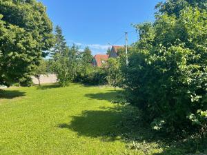 Zahrada ubytování Gîte Nicole proche du Europa Park