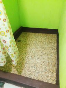 a corner of a room with a green wall and a floor at Hospedaje Bananas in Altagracia