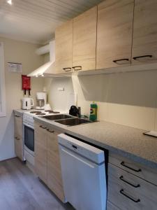 a kitchen with wooden cabinets and a white dishwasher at Camp Sjusjøen in Mesnali