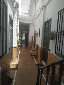 un pasillo vacío de un edificio con macetas en Apartamentos Fernando El Catolico, en Málaga