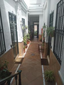 a hallway with potted plants in a building at Apartamentos Fernando El Catolico in M&aacute;laga