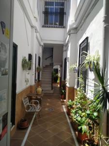 Apartamentos Fernando El Catolico, Málaga – Bijgewerkte ...